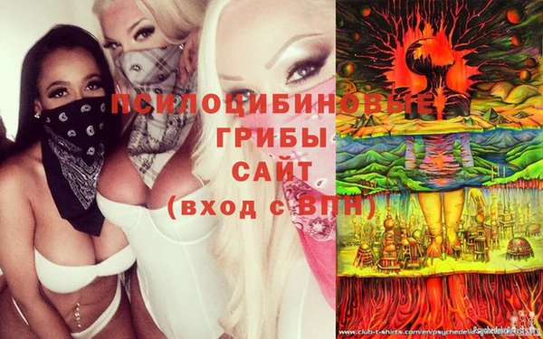 спиды Надым