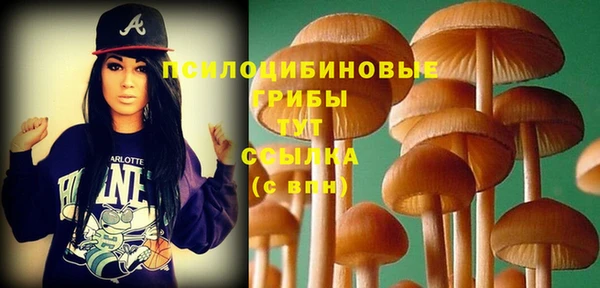 таблы Грязовец
