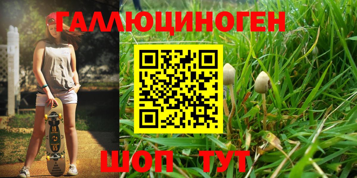 Галлюциногенные грибы мухоморы  Галлюциногенные грибы MAGIC MUSHROOMS  Вход с VPN  Павловский Посад 