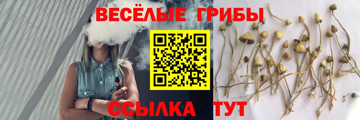  Cocaine Павловский Посад